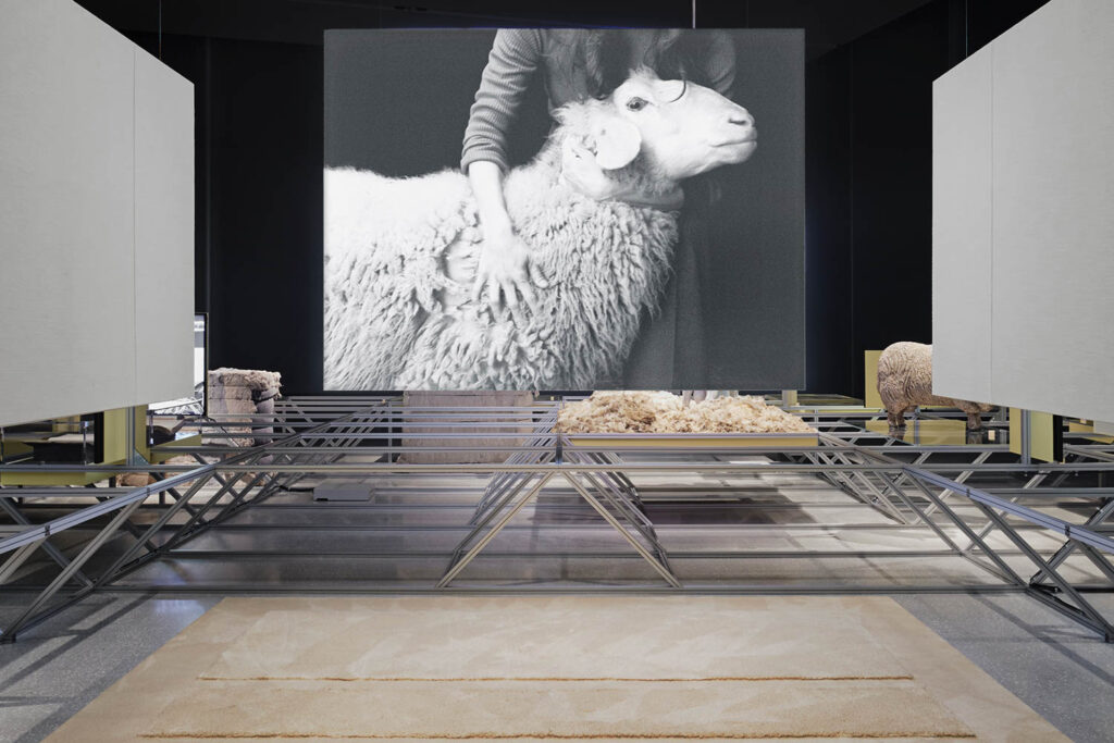 a photograph of a sheep in an installation on wool