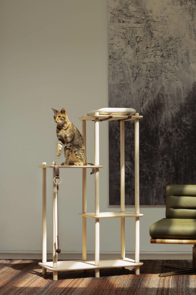 a cat sits on a wooden cat tree, Connect by Papuk